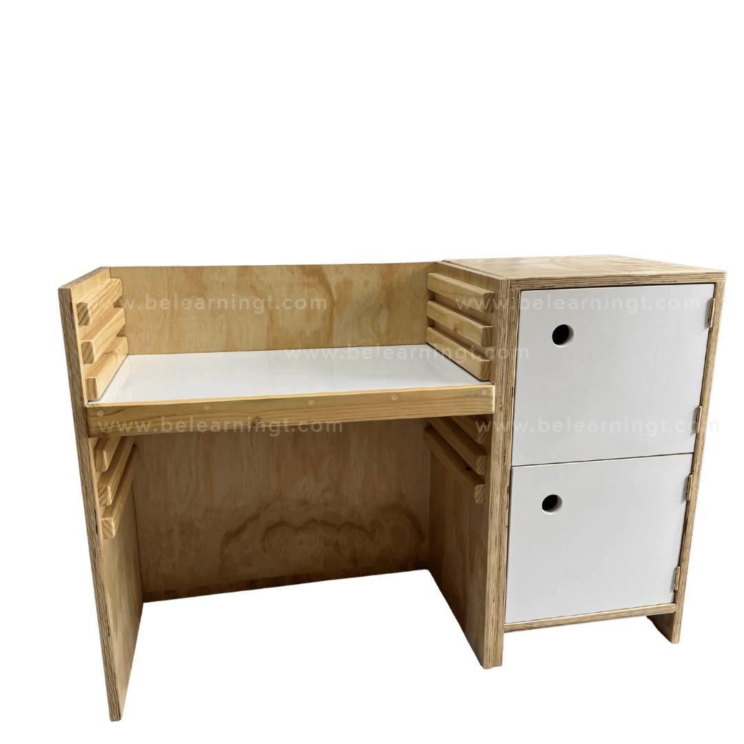 Escritorio Ajustable + Organizador 